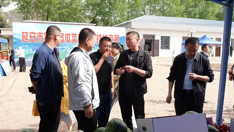 延长县农产品精彩亮相延安市第八届瓜菜展评暨技能竞赛，水果销售成亮点